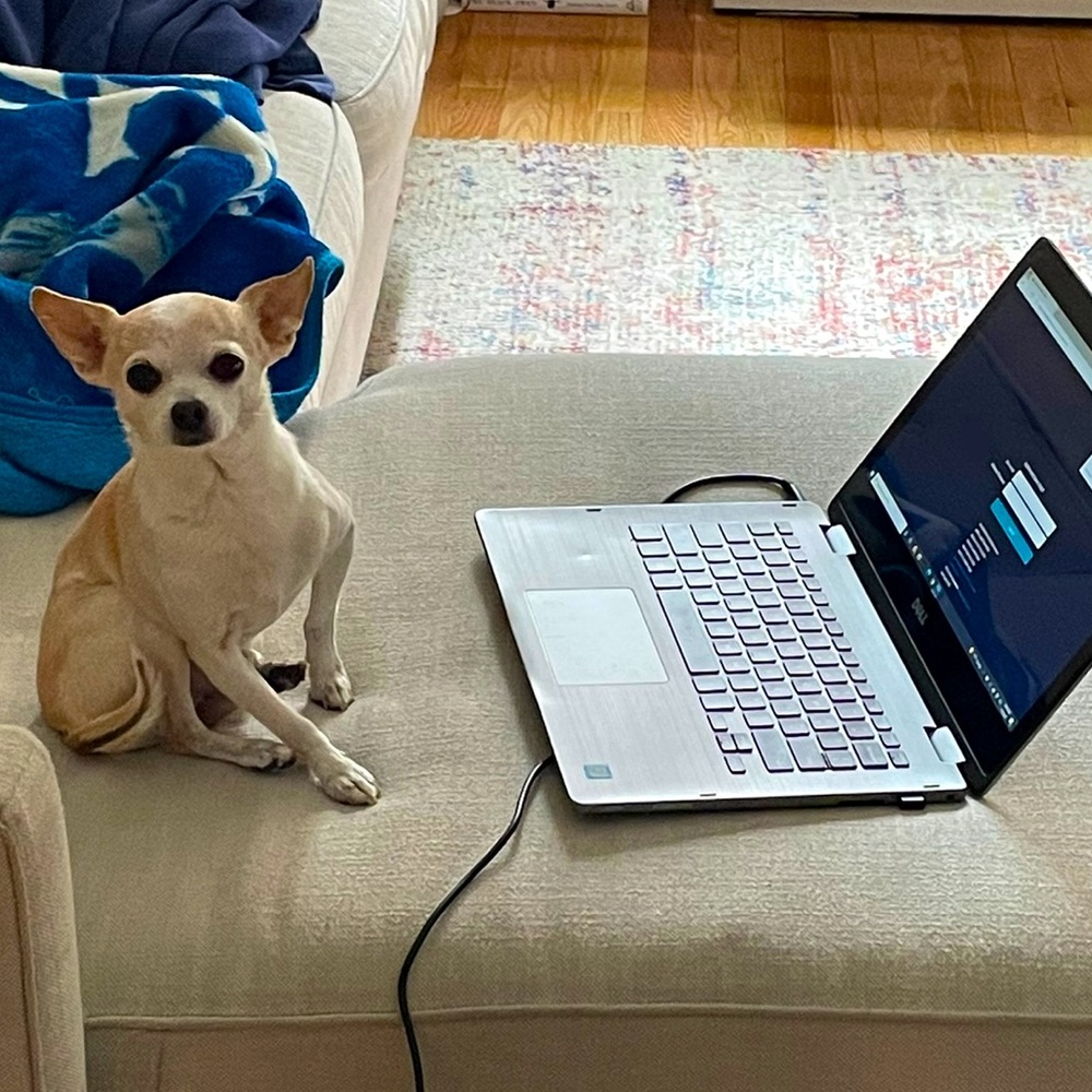 Meet your Posher, Benjamin